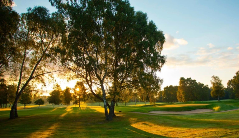 på bilden syns en golfbana med sol som strilar mellan träden